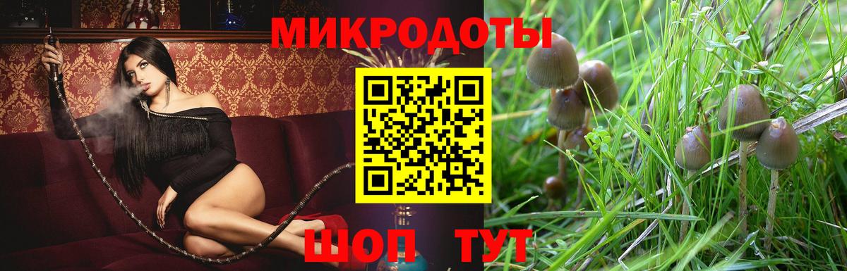 Галлюциногенные грибы MAGIC MUSHROOMS Якутск